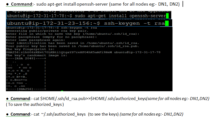 Multinode Hadoop cluster setup