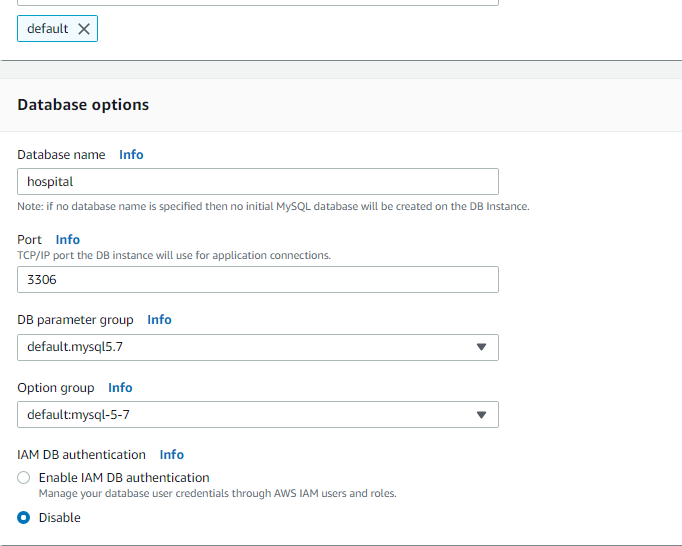  Amazon RDS DB Instance