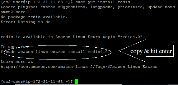 install redis cli amazon linux