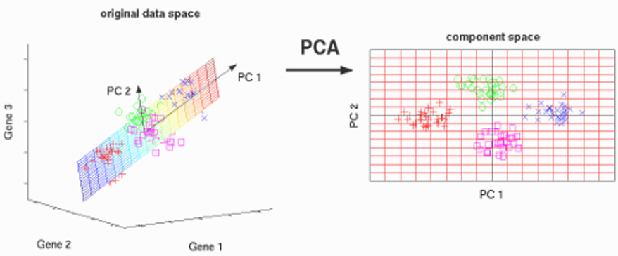 Working Principle of PCA