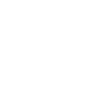 Expert Icon